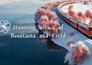 create realistic and fantasy ai landscape images for games, books and art